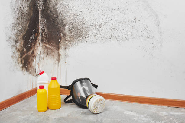 Best Commercial Mold Remediation in Eureka, KS