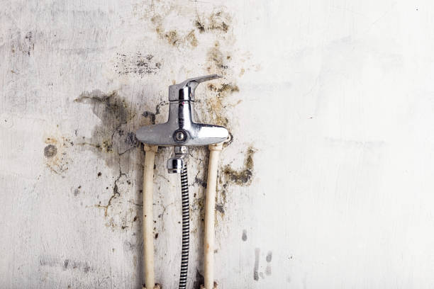 Best Insurance-Related Mold Remediation in Eureka, KS